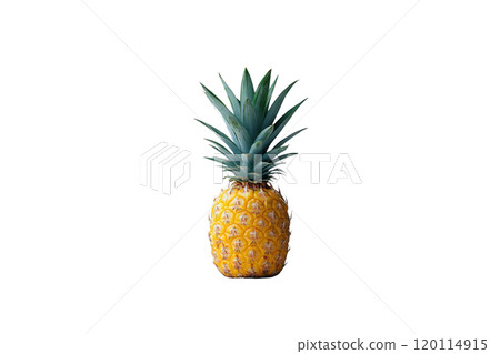 Fresh pineapple with vibrant green leaves and textured yellow exterior, perfect for tropical themes and culinary uses 120114915