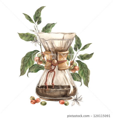 Coffee maker for brewing filter coffee from a glass flask with coffee tree branches and unripe beans. Watercolor illustration on isolated background for branding shops, cafes, banners, postcards 120115091