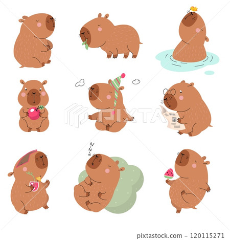 Cartoon capybara. Cute little capybaras different poses. Wild animals eating swimming reading newspaper. Funny fatty rodents, nowaday vector characters 120115271