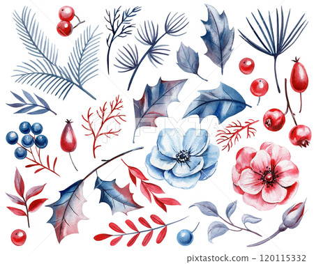 winter holiday botanical watercolor set. Berries, leaves, pine branches, red and blue anemone flowers, floral elements 120115332
