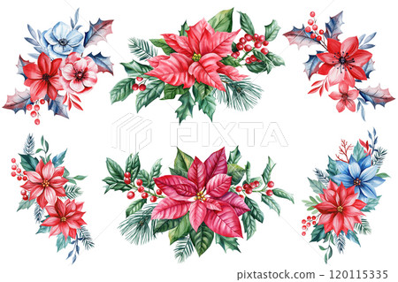 Set watercolor Christmas poinsettia arrangement. Holly berries, pine branches and festive winter leaves white background Set watercolor Christmas poinsettia arrangement. Holly berries, pine branches and festive winter leaves white background 120115335