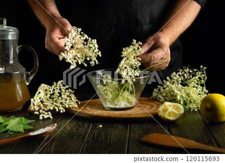 In a cozy kitchen, hands delicately place fragrant elderflower blooms into a glass bowl. A wooden cutting board, fresh lemons, and mint enhance the earthy ambiance as syrup preparation begins 120115693