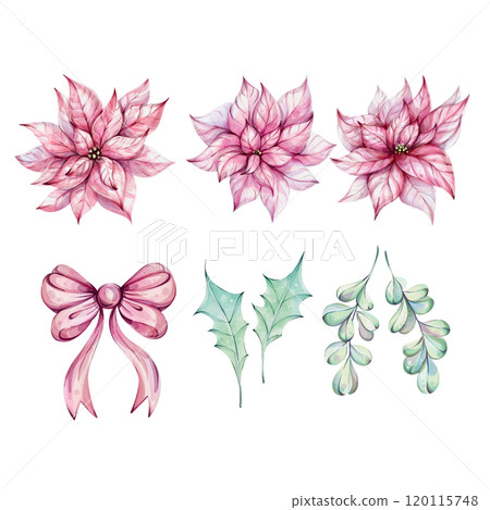 Christmas clip art - watercolor Red poinsettia flowers with holly leaves and bow. Illustration hand drawn for design, printing, greeting cards Christmas clip art - watercolor Red poinsettia flowers with holly leaves and bow. Illustration hand drawn for design, printing, greeting cards 120115748