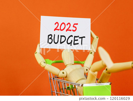 Planning 2025 budget new year symbol. Concept words 2025 Budget on beautiful white paper on wooden clothespin. Beautiful orange background. Business 2025 budget new year concept. Copy space. Planning 2025 budget new year symbol. Concept words 2025 Budget on beautiful white paper on wooden clothespin. Beautiful orange background. Business 2025 budget new year concept. Copy space. 120116029