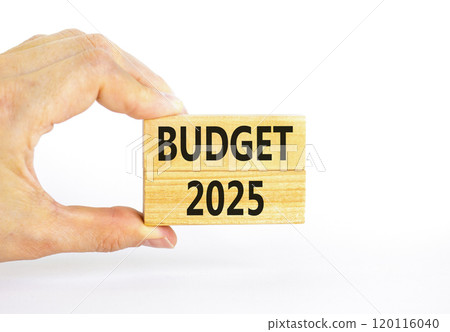 Planning budget 2025 new year symbol. Concept words Budget 2025 on beautiful wooden blocks. Beautiful white background. Businessman hand. Business budget 2025 new year concept. Copy space. 120116040