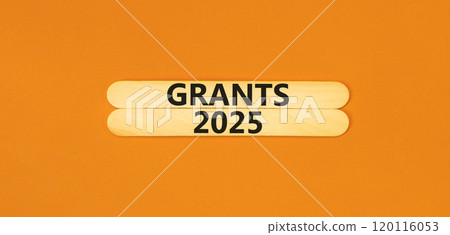 Planning grants 2025 new year symbol. Concept words Grants 2025 on beautiful wooden sticks. Beautiful orange background. Business grants 2025 new year concept. Copy space. 120116053