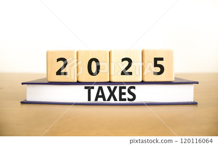 Planning 2025 taxes new year symbol. Concept words 2025 Taxes on beautiful wooden blocks and book. Beautiful wooden table white background. Business 2025 taxes new year concept. Copy space. Planning 2025 taxes new year symbol. Concept words 2025 Taxes on beautiful wooden blocks and book. Beautiful wooden table white background. Business 2025 taxes new year concept. Copy space. 120116064