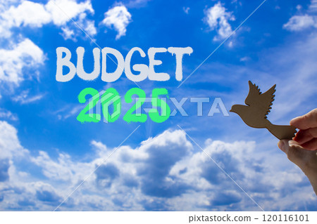 Planning budget 2025 new year symbol. Concept words Budget 2025 on beautiful blue sky. Beautiful blue sky clouds background. Hand with wooden bird. Business budget 2025 new year concept. Copy space. 120116101
