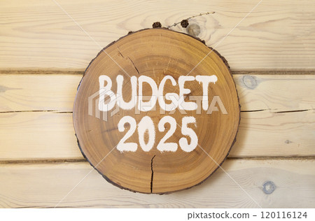 Planning budget 2025 new year symbol. Concept words Budget 2025 on beautiful wooden circle. Beautiful wooden wall background. Business budget 2025 new year concept. Copy space. 120116124