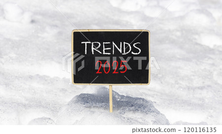 Planning trends 2025 new year symbol. Concept words Trends 2025 on beautiful yellow chalk blackboard. Beautiful white snow background. Business trends 2025 new year concept. Copy space. 120116135