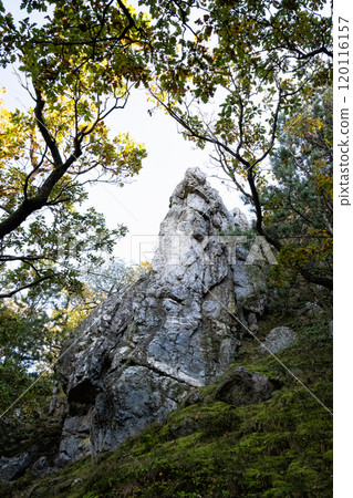 Seasonal natural scene, Tribec mountain range, Slovakia 120116157