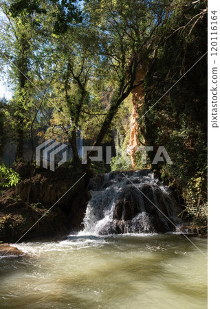 Twin Cascades: Verdant Tranquility at Monasterio de Piedra Twin Cascades: Verdant Tranquility at Monasterio de Piedra 120116164