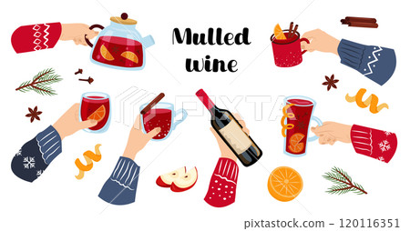 Hands with mulled wine. Vector set of winter drinks. People celebrate Christmas. Ingredients - fruits, spices. Illustration on white background. 120116351