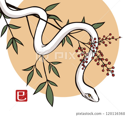 南方的天空和蛇的插圖 120116368