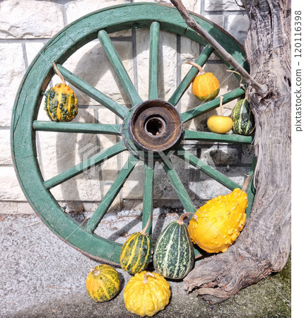 Wheel and pumpkins 120116398
