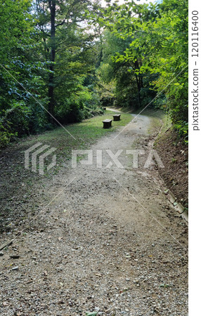 Orlovac 120116400