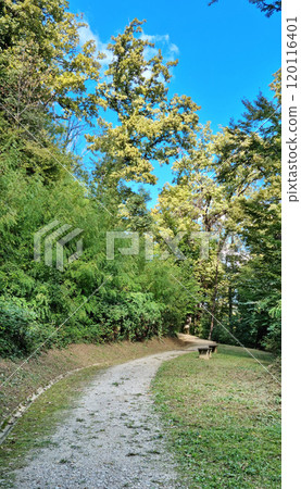 Orlovac 120116401