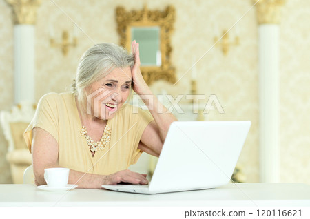 Beautiful elderly woman using a laptop at home Beautiful elderly woman using a laptop at home 120116621