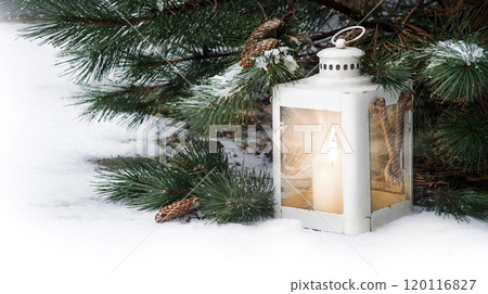 Glowing lantern under fir tree in the forest Glowing lantern under fir tree in the forest 120116827