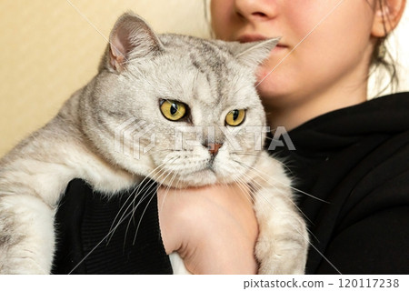Cat Woman Holding Pet Indoor Close-up 120117238