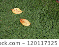 公園狀況 120117325