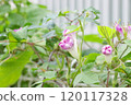 公園狀況 120117328