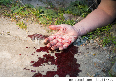A man's hand in blood lies on the ground 120117399