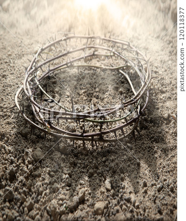 Thorn wreath with crown shadow 120118377