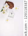 Jasmine flowers, bark and perfume bottle on white background. Flat lay. Copy space 120118387