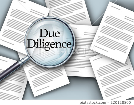 Due Diligence 120118800