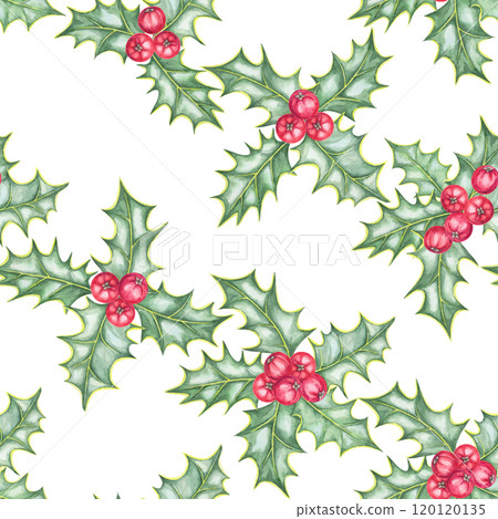 Holly leaves and red berries illustrated in a seamless watercolor pattern. Ilex clipart for designing holiday-themed fabric, wrapping paper, festive apparel, and custom stationery Holly leaves and red berries illustrated in a seamless watercolor pattern. Ilex clipart for designing holiday-themed fabric, wrapping paper, festive apparel, and custom stationery 120120135