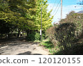 公園路 120120155