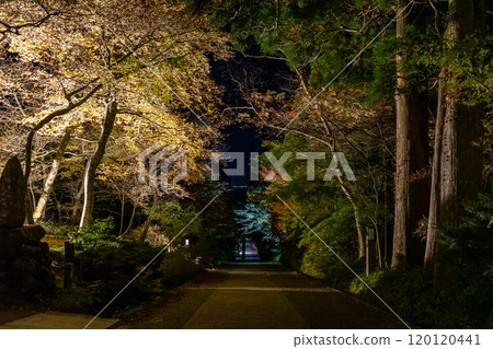 Beautiful autumn evening scenery of Mt. Daisen in Tottori prefecture, Japan 120120441