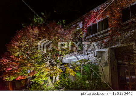 Beautiful autumn evening scenery of Mt. Daisen in Tottori prefecture, Japan 120120445