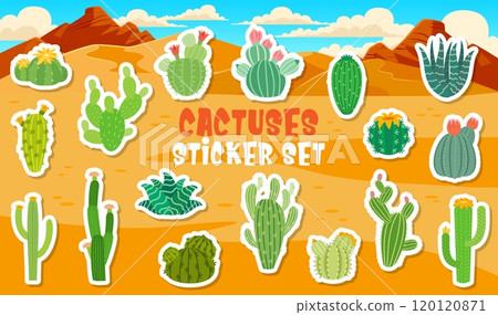 Cartoon Mexican cactus succulent stickers pack of desert prickly plants, vector icons. Peyote and opuntia cactus, Texas canyon succulents, saguaro with pricks and agave flowers for cartoon stickers Cartoon Mexican cactus succulent stickers pack of desert prickly plants, vector icons. Peyote and opuntia cactus, Texas canyon succulents, saguaro with pricks and agave flowers for cartoon stickers 120120871