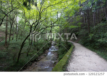 Nakasendo Trail Landscape in Japan 120121257