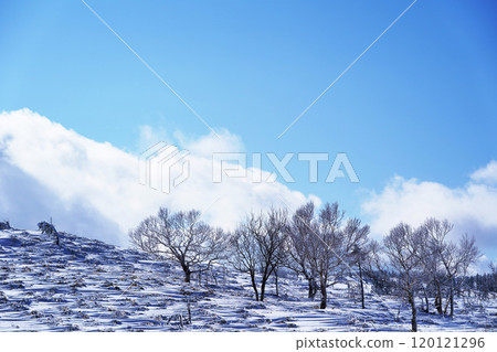 Bihoro Pass in the harsh winter, Hokkaido 120121296