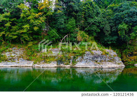 長瀞谷岩資料民 120121436