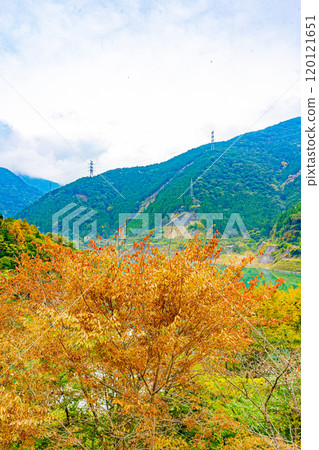秩父櫻花湖(浦山水庫) 秩父櫻花湖(浦山水庫) 120121651