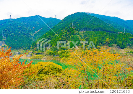 秩父櫻花湖（浦山水庫） 120121653