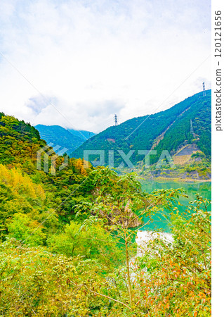 秩父櫻花湖(浦山水庫) 秩父櫻花湖(浦山水庫) 120121656