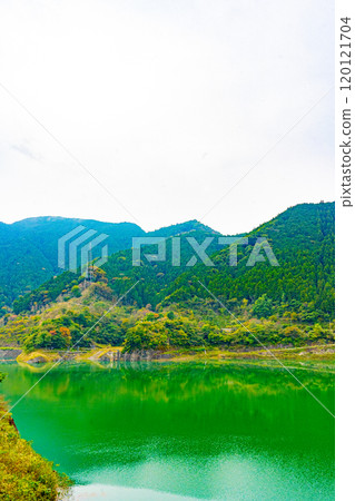 秩父櫻花湖（浦山水庫） 120121704