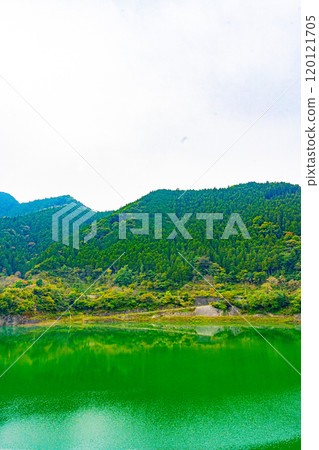 秩父櫻花湖(浦山水庫) 秩父櫻花湖(浦山水庫) 120121705