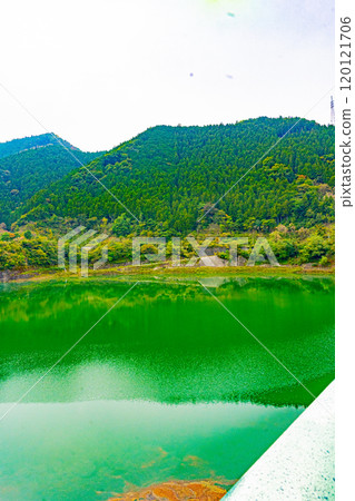 秩父櫻花湖(浦山水庫) 秩父櫻花湖(浦山水庫) 120121706