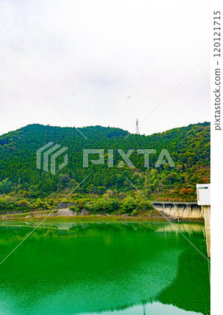 Chichibu Sakura Lake (Urayama Dam) 120121715