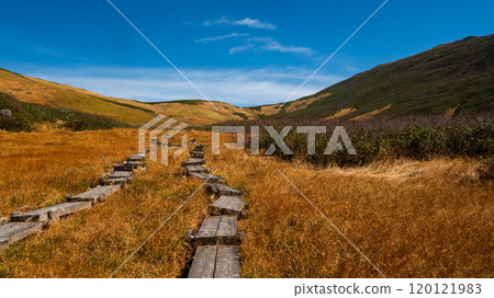 深秋的月山，沿著山間小徑，在秋葉的草叢中漫步。 120121983