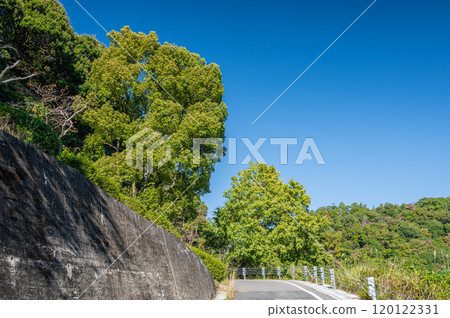 The road to Amagase Dam, Uji City, Kyoto Prefecture The road to Amagase Dam, Uji City, Kyoto Prefecture 120122331