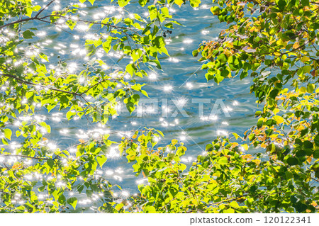 The sparkling Lake Houou at Amagase Dam, Uji City, Kyoto Prefecture 120122341