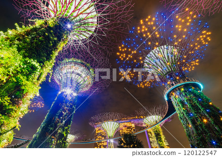 Singapore Gardens by the Bay Night Show 120122547