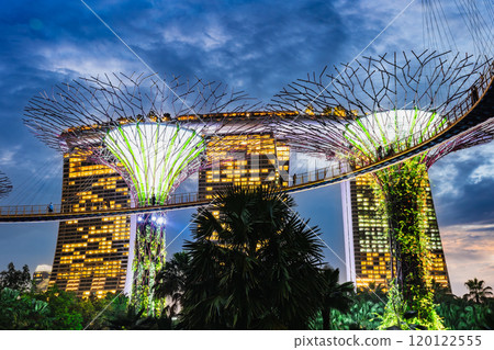 Singapore Gardens by the Bay Night Show 120122555
